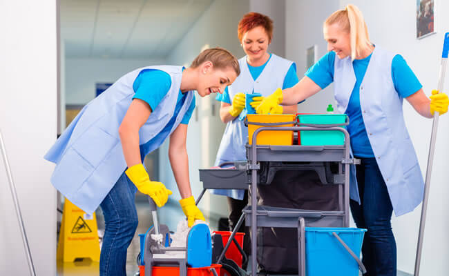 Maid Cleaning Bathroom